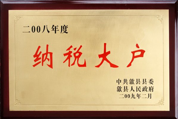 纳税大户