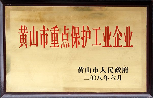 市重点保护企业